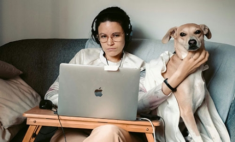 Woman with computer sitting in a sofa, petting a dog