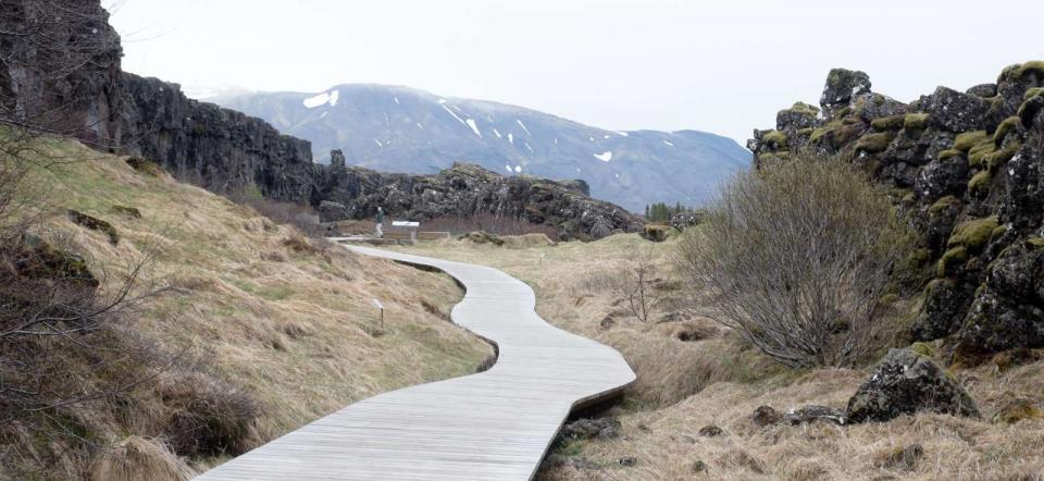 road walk nature landscape