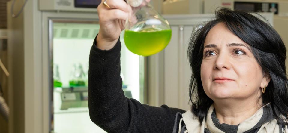 Yagut Allahverdiyeva-Rinne holding a glass flask with a green substance._Photo by Hanna Oksanen, University of Turku