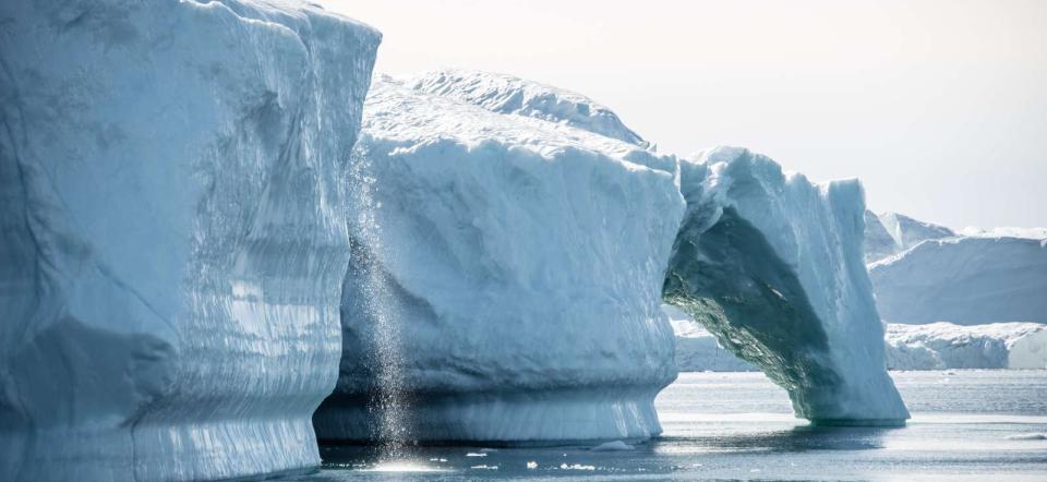 Icebergs in Greenland