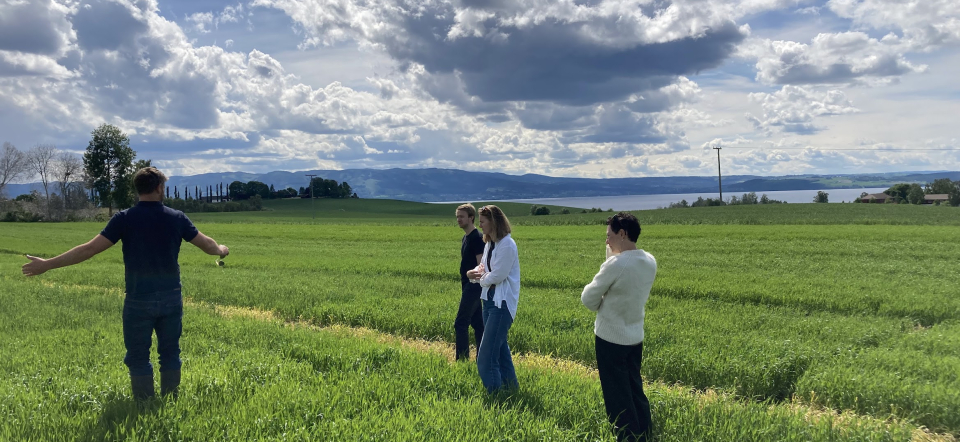 Four people standing on a green field.