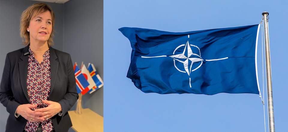 Professor Nina Græger og NATO-flag.