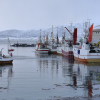 Fishing boats in Lofoten